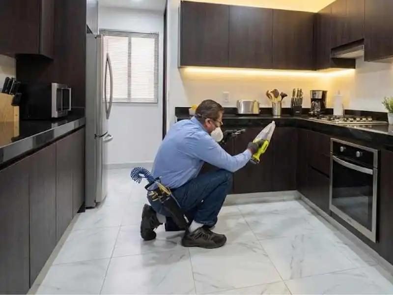 aspirado-cucarachas-cocina-puebla